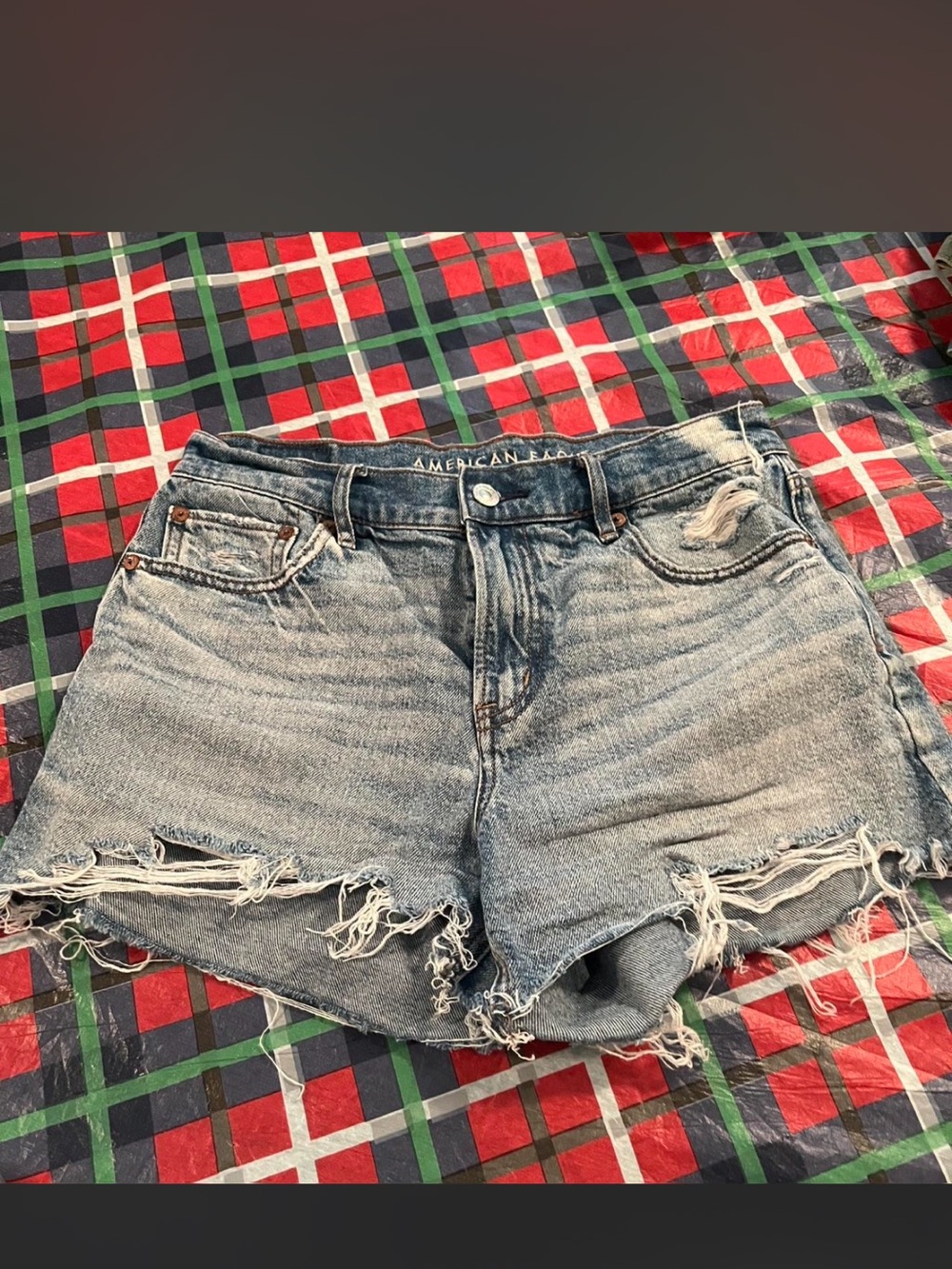 American Eagle Outfitters Light Blue Distressed Denim Cutoff Shorts